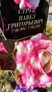 Захоронение ID 3577013