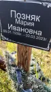Захоронение ID 3577085