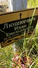 Захоронение ID 3577086