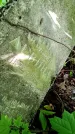 Захоронение ID 3577156