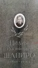 Захоронение ID 3577188