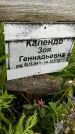 Захоронение ID 3577253