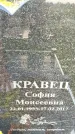Захоронение ID 3577340