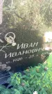 Захоронение ID 3577416