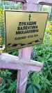 Захоронение ID 3577446
