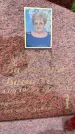 Захоронение ID 3577494