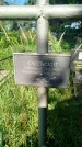 Захоронение ID 3577523