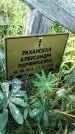 Захоронение ID 3577535