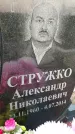 Захоронение ID 3577543