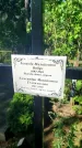 Захоронение ID 3577578