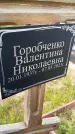 Захоронение ID 3577638
