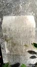 Захоронение ID 3577800