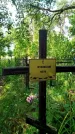 Захоронение ID 3577807