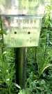 Захоронение ID 3577826