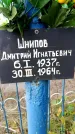 Захоронение ID 3577977