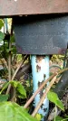Захоронение ID 3578017