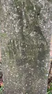 Захоронение ID 3578041