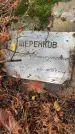 Захоронение ID 3578050