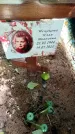 Захоронение ID 3578120