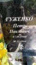 Захоронение ID 3578153