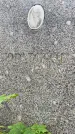 Захоронение ID 3578239