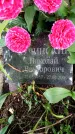 Захоронение ID 3578382