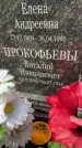 Захоронение ID 3578397