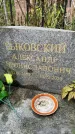 Захоронение ID 3578431