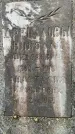 Захоронение ID 3579124