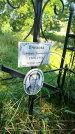 Захоронение ID 3578620