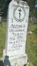 Захоронение ID 3578635