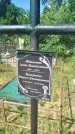 Захоронение ID 3578785