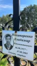 Захоронение ID 3578856