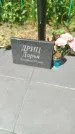 Захоронение ID 3578892