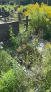 Захоронение ID 3579035