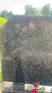 Захоронение ID 3579042