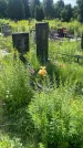 Захоронение ID 3579049