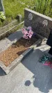 Захоронение ID 3579060