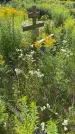 Захоронение ID 3579138