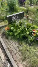 Захоронение ID 3579173