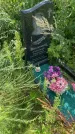 Захоронение ID 3579222