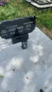 Захоронение ID 3579312