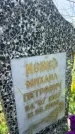 Захоронение ID 3579328