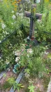Захоронение ID 3579461