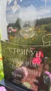 Захоронение ID 3579493