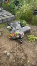 Захоронение ID 3579505