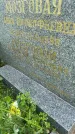Захоронение ID 3579563