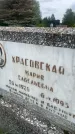 Захоронение ID 3579587