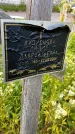 Захоронение ID 3579690