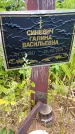 Захоронение ID 3579696